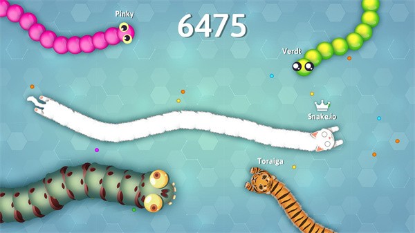 Snakeio 免费安卓版v2.2.43