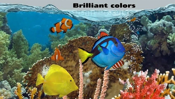 养鱼场2汉化版 安卓版v1.5.5 (GP)