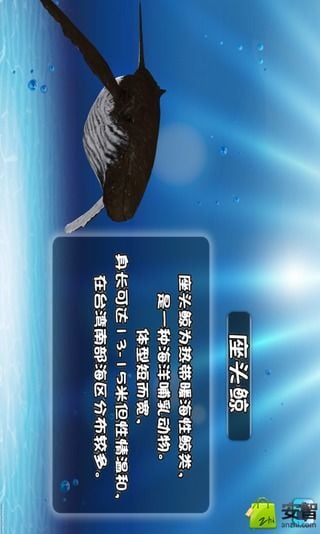 好多鱼立现 好多鱼立现