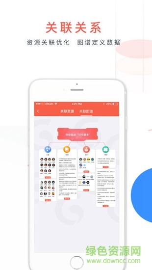 金桐