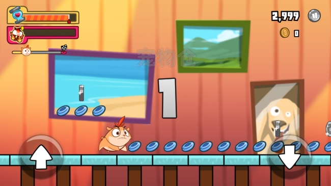 毛球大奔跑:混乱无限金币版