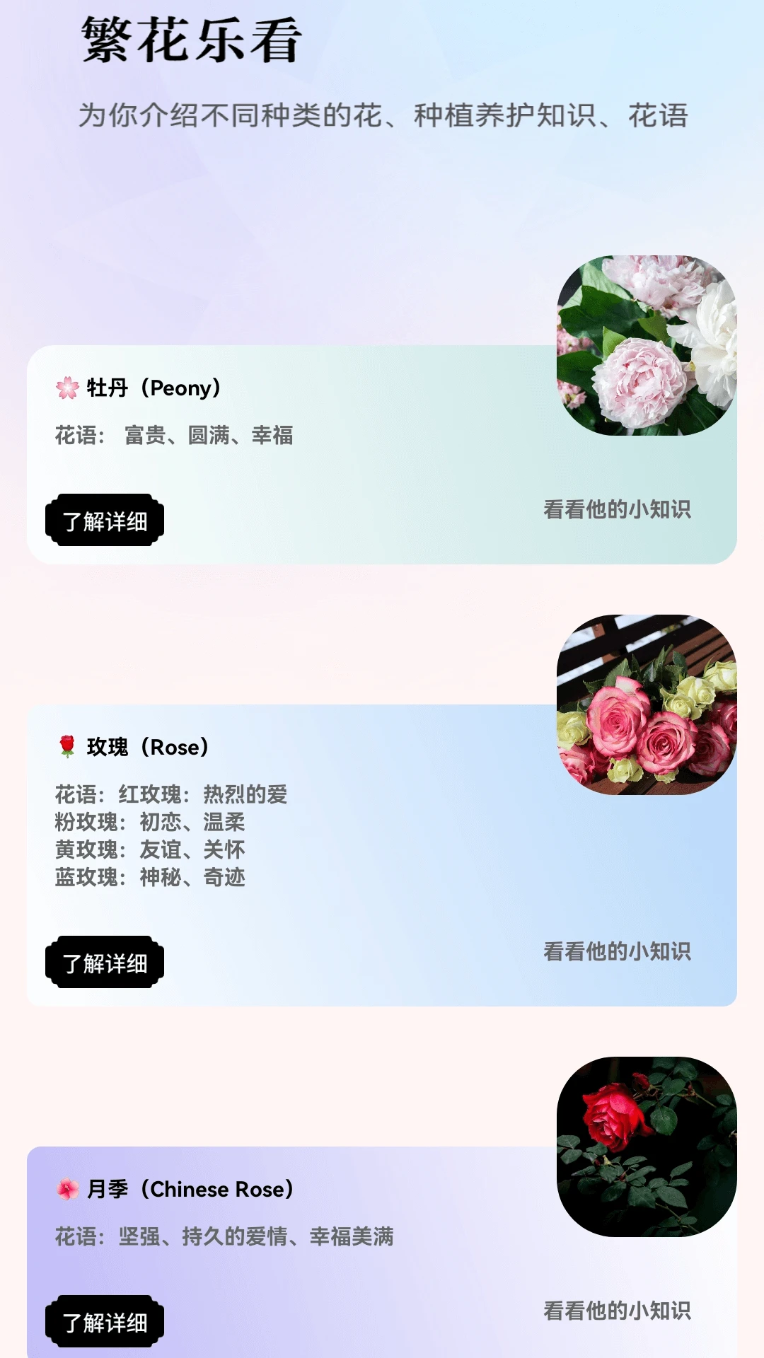 繁花乐看
