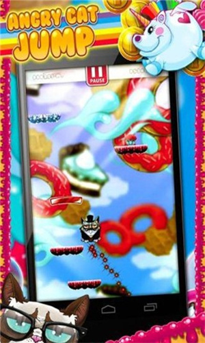 愤怒的猫 愤怒的猫