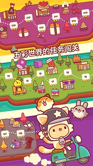 皮皮猫 皮皮猫