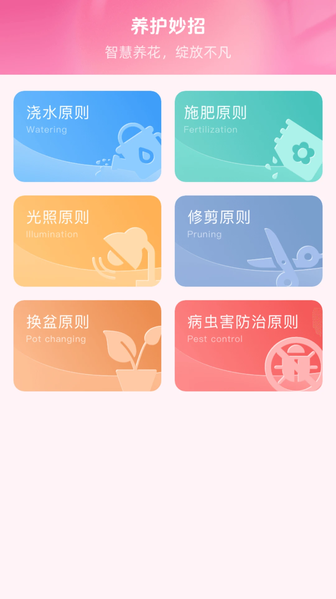 绚丽花朵