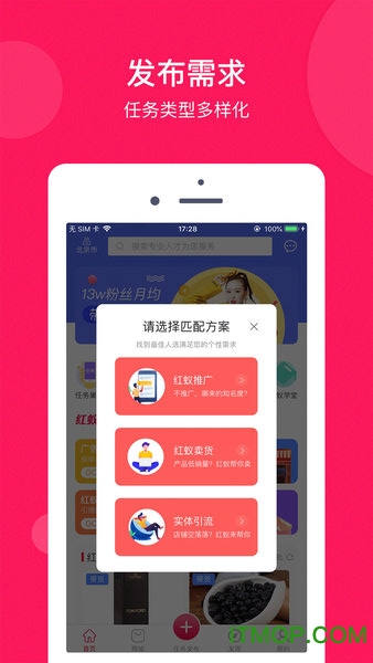 小红蚁