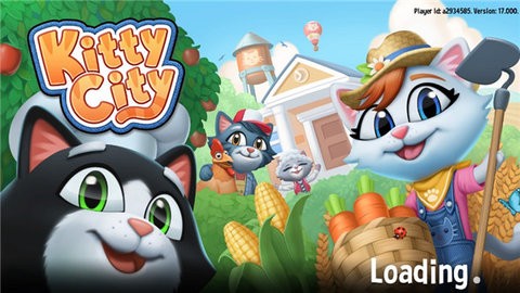 Kitty City