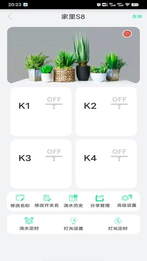 植物宝