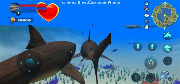 Megalodon Simulator安装器