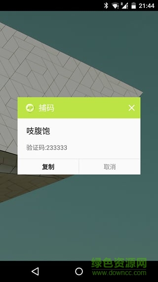 捕码