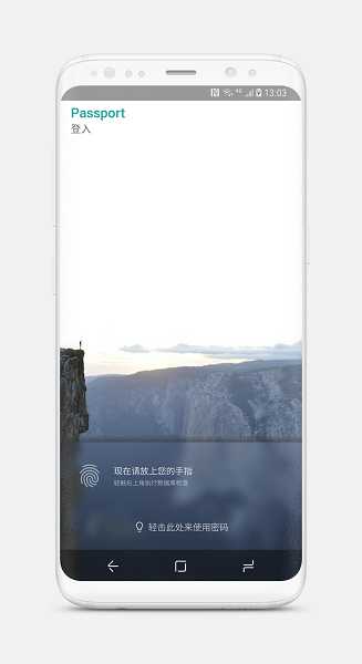 Passport密码管理器 Passport密码管理器