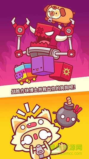 皮皮猫 皮皮猫