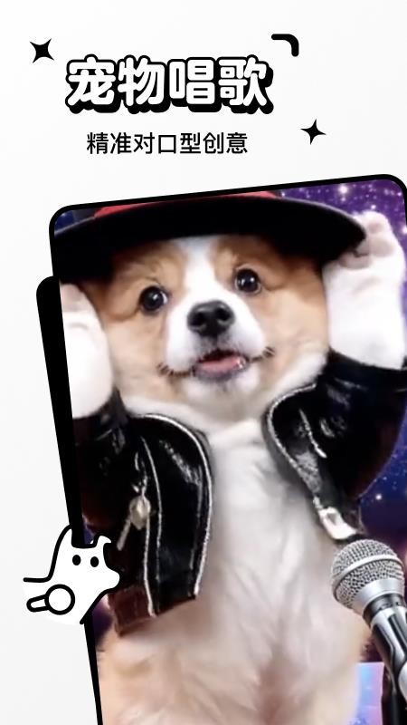 宠历