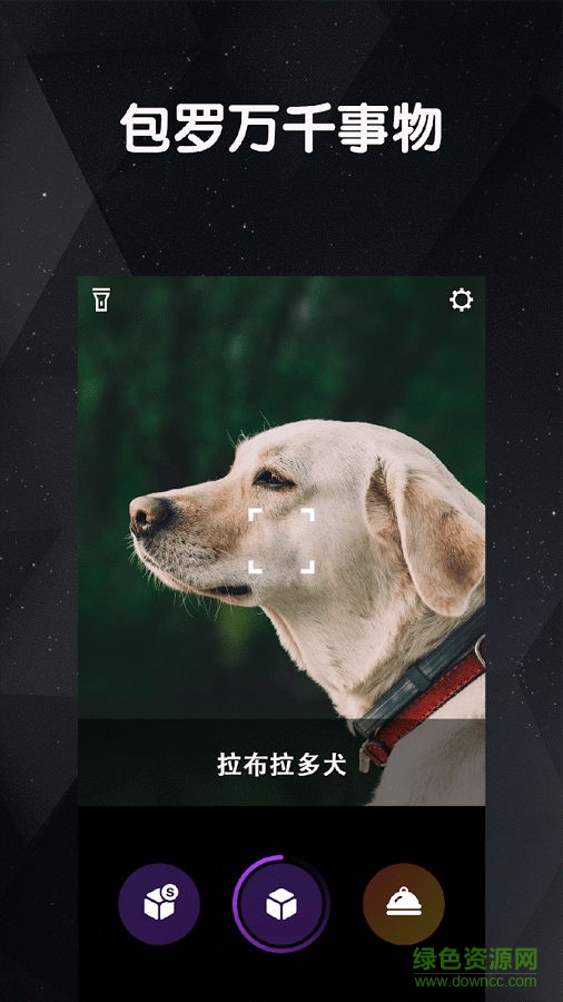 导盲小犬(物体识别)
