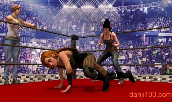 女子团体摔跤官方版(Women Tag Team Wrestling)
