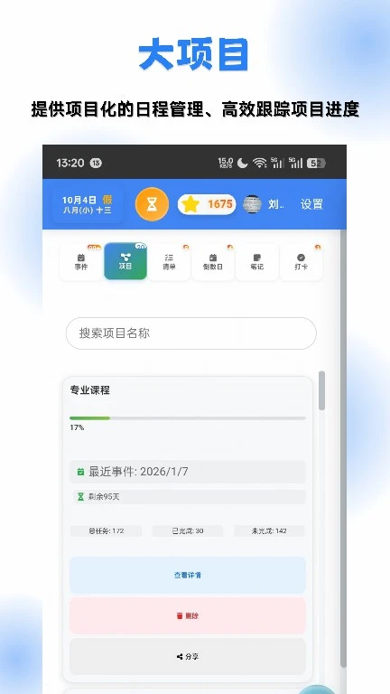 有数规划