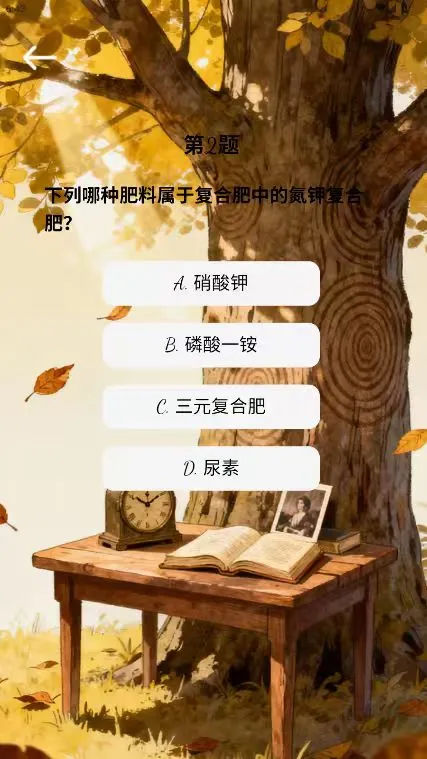 多多时光