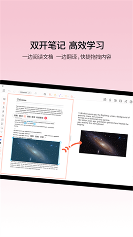 小新