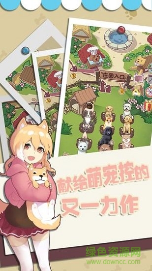 狗狗派对