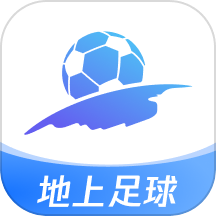 地上足球