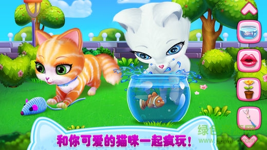 猫咪之恋(可可小猫)