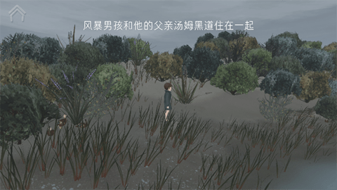 男孩与鹈鹕
