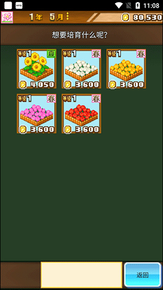 牧场物语贤者之石