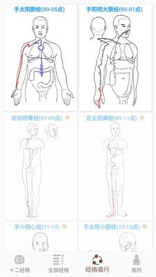 经络穴位3D