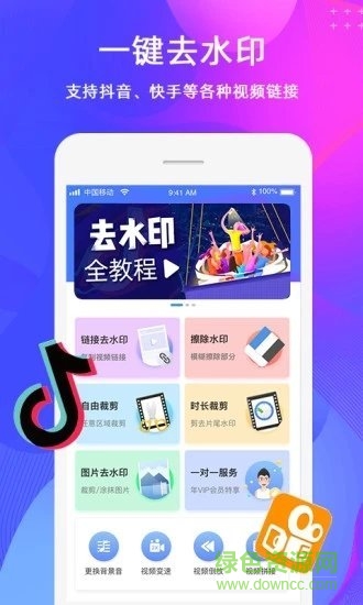 去水印大师