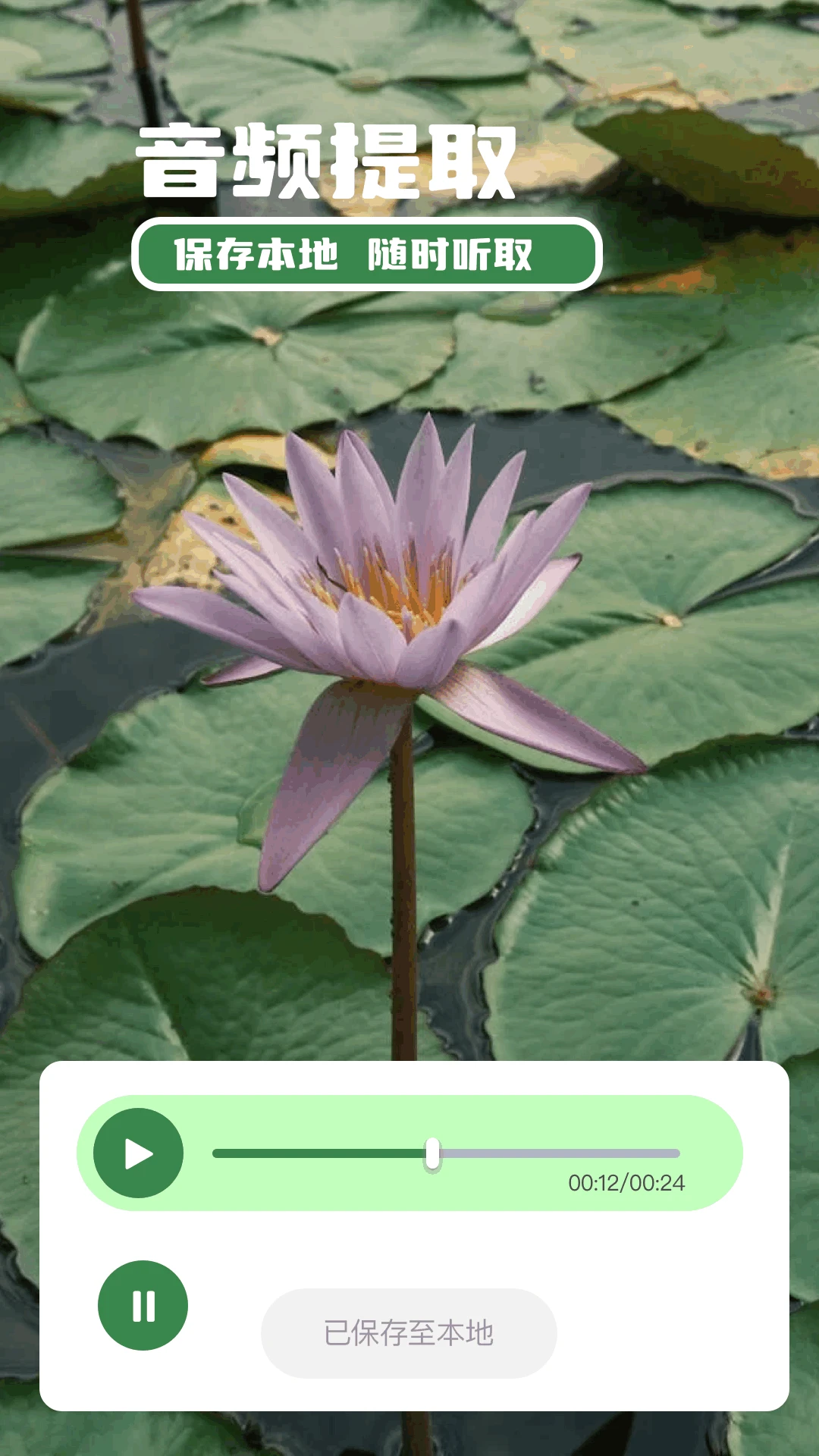 苍龙视频