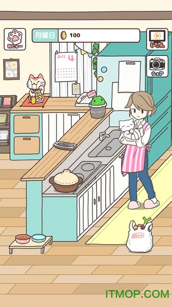 飼い猫ぐらし