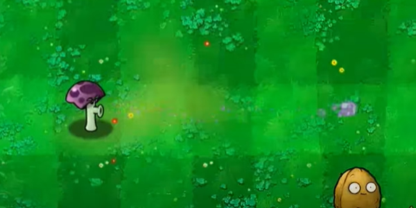 植物大战