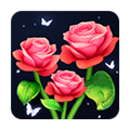 Blossom Sort安装器