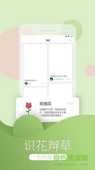 花圃天下