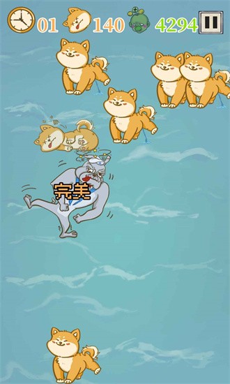 是真的狗 是真的狗