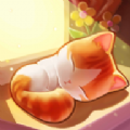 나비냥