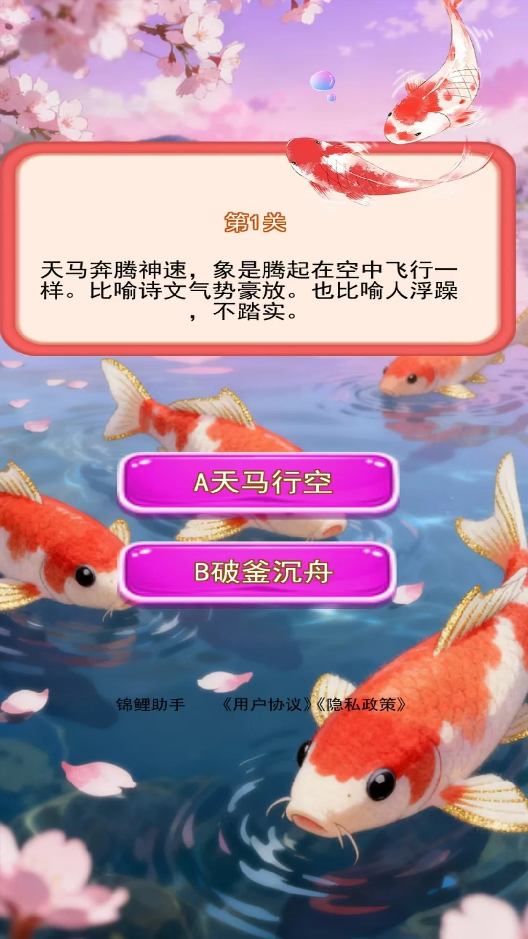 锦鲤助手 锦鲤助手