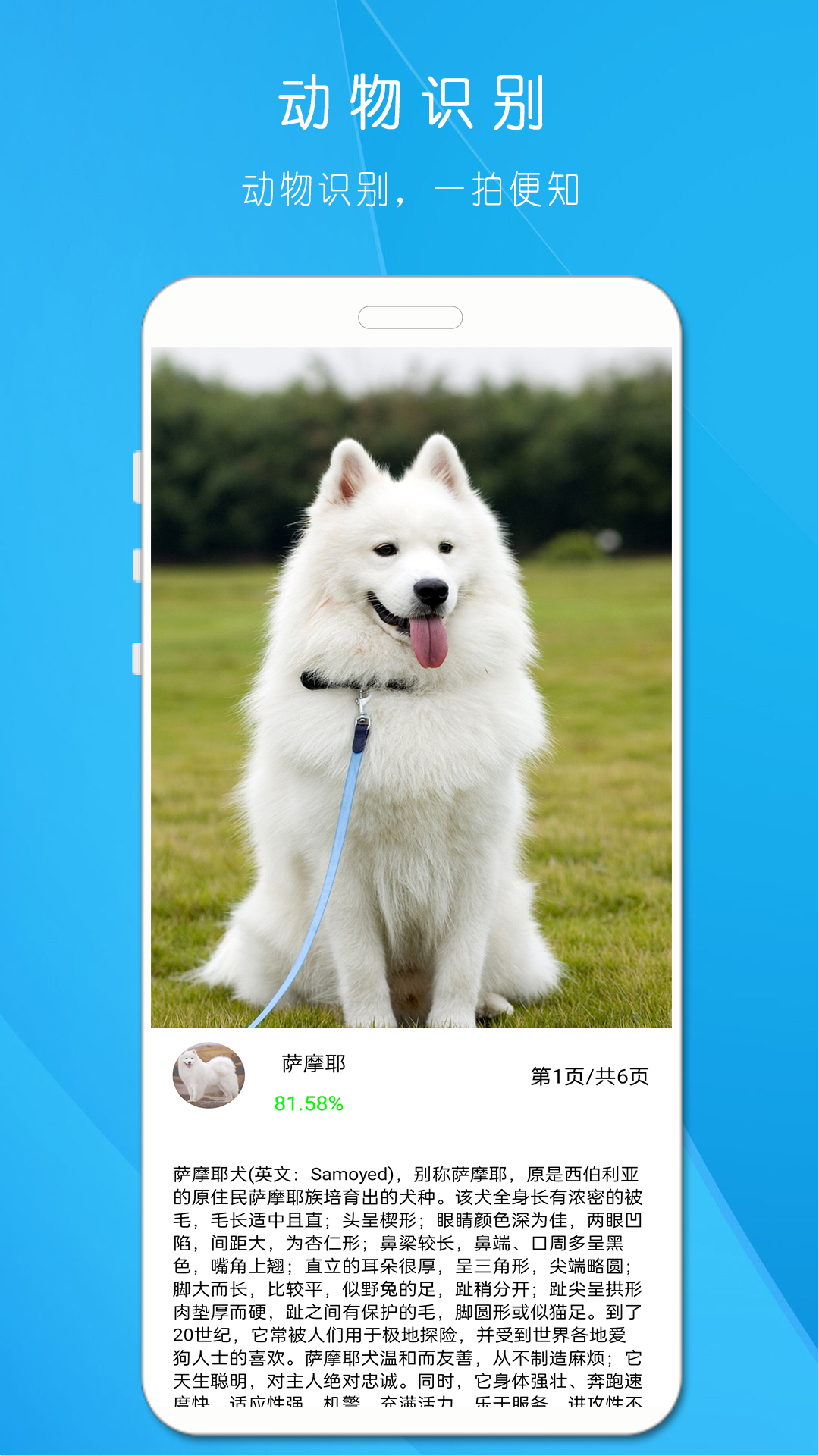 AI拍照识万物