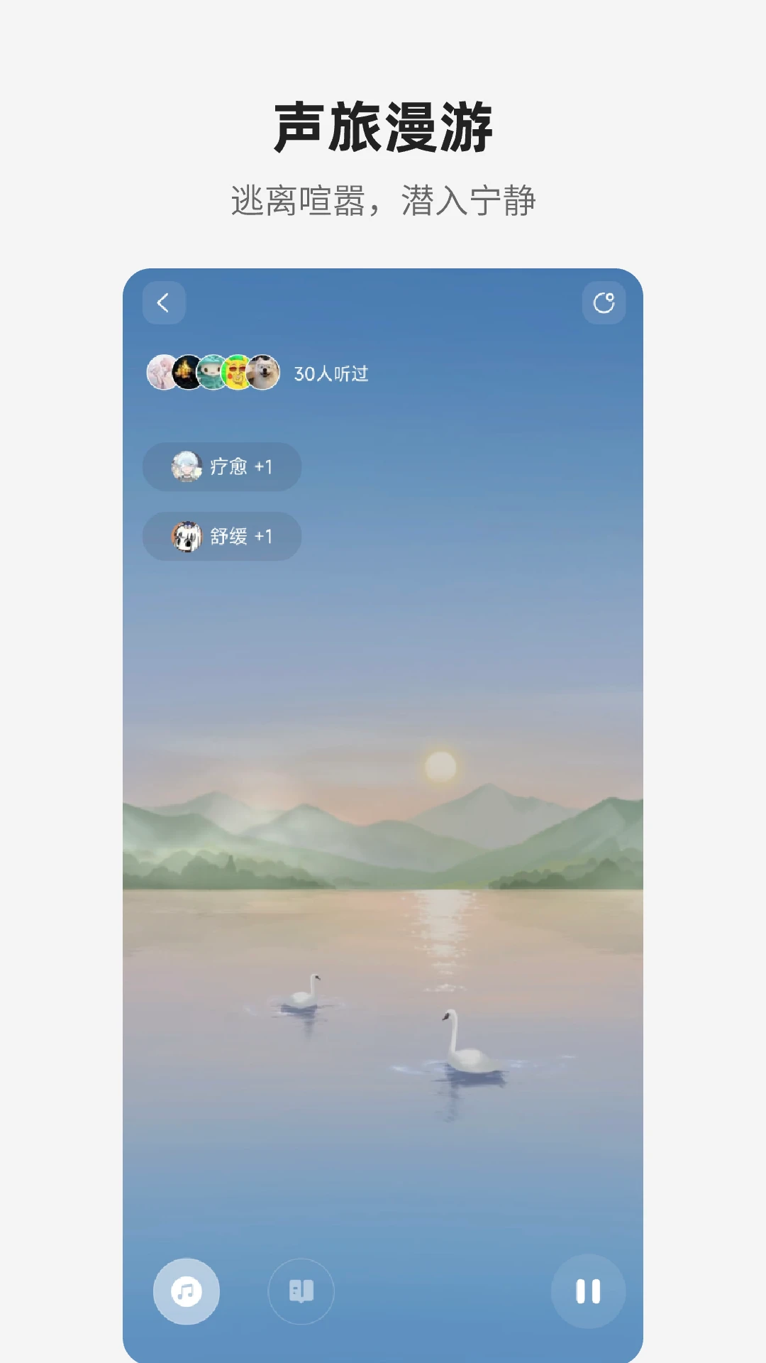 梵花田