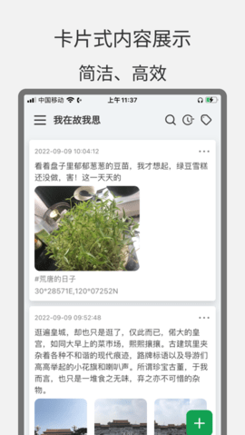 大树日记app