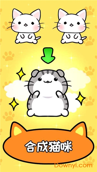 猫咪公寓