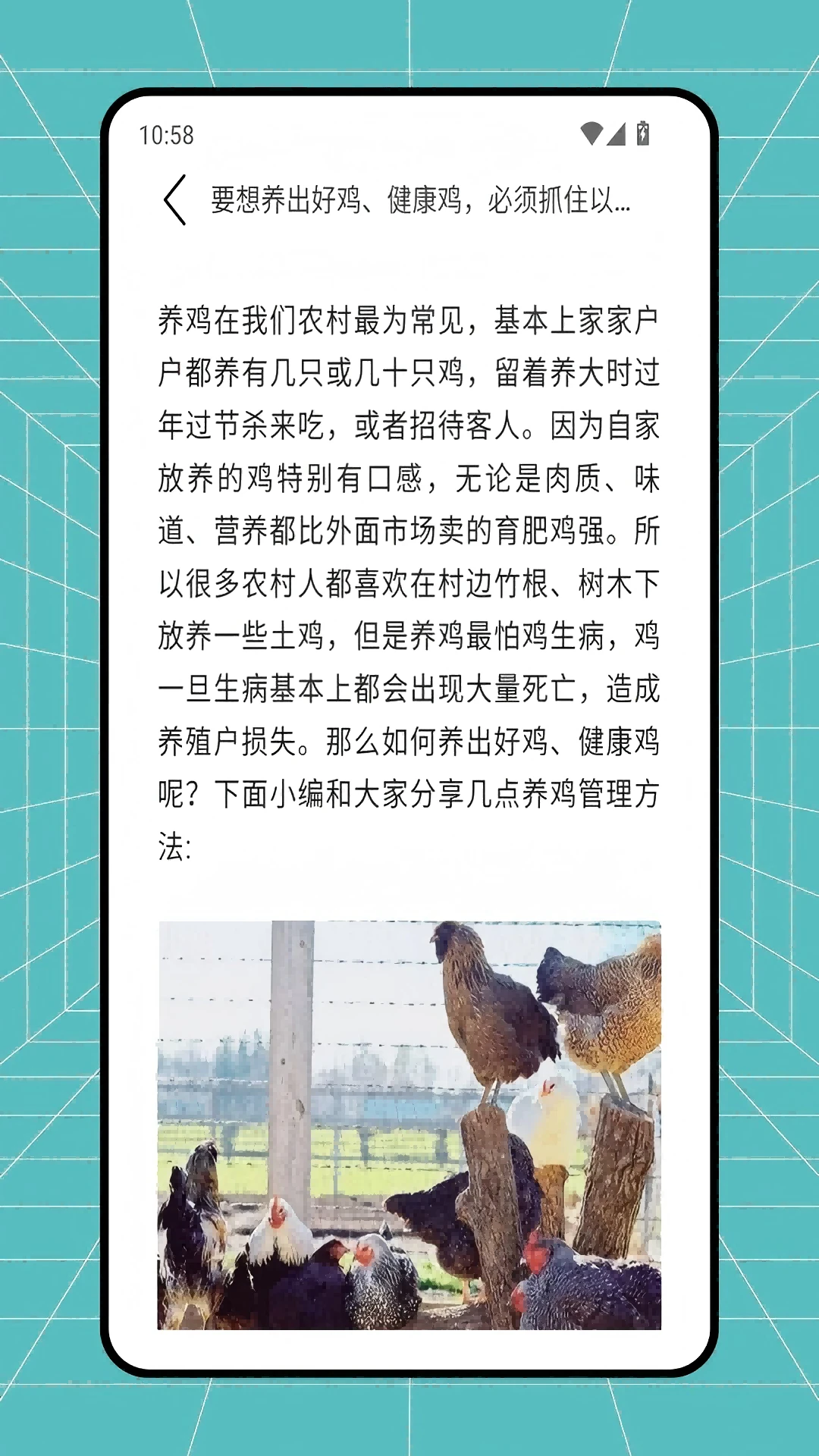 农资配 农资配