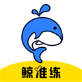 鲸准