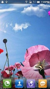 春天蝴蝶动态壁纸