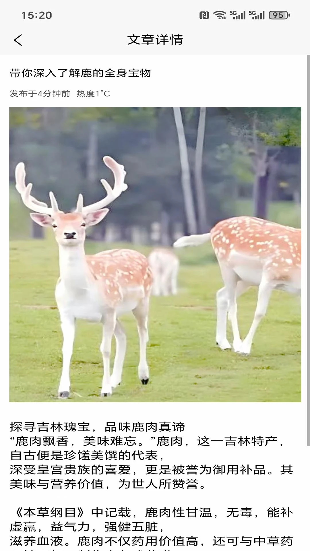 循鹿平台