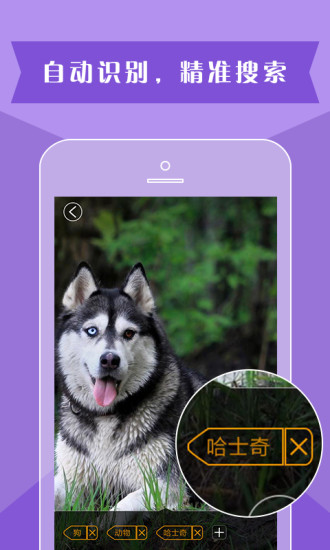 灵犀相册 灵犀相册