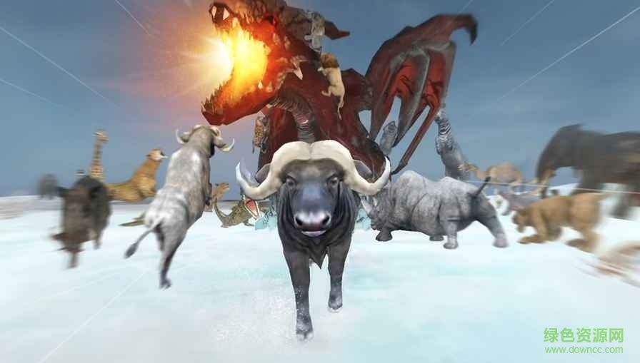 野生动物丛林法则