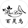 百 灵 鸟 框 架