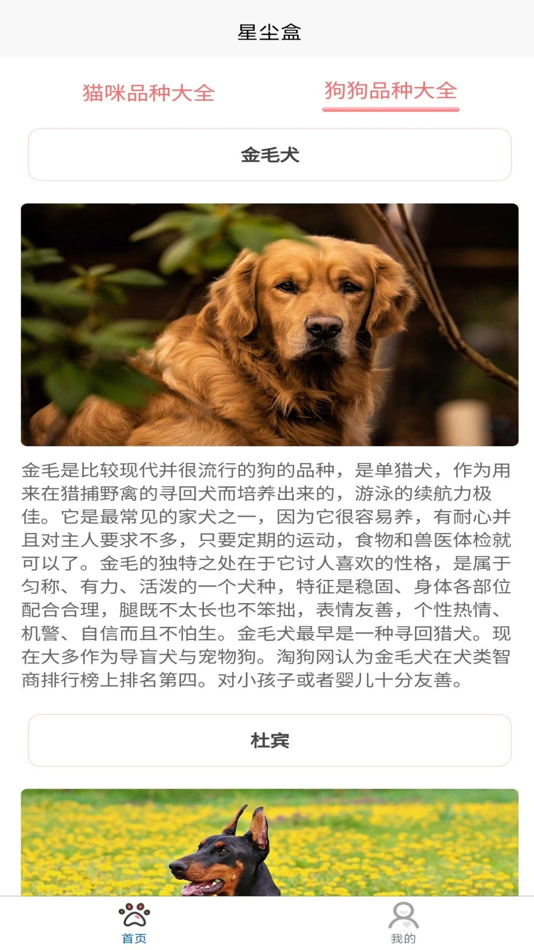 星尘盒