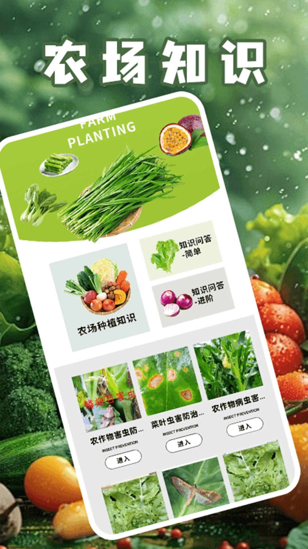 奶奶的小农院2025
